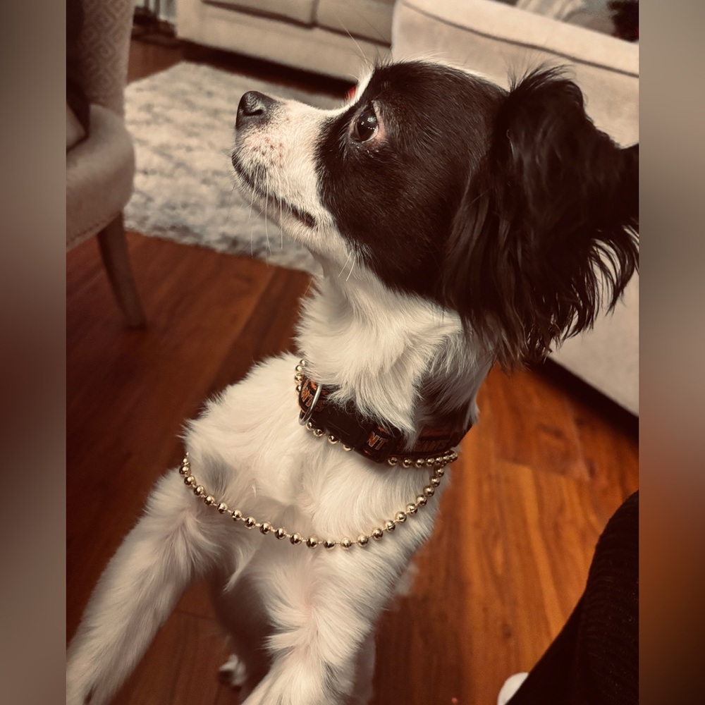 ♥️@Moracris431 is live! Please like this notification for live shows! - Picture 6 of 16